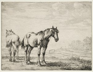 Twee ploegpaarden door Dirck Stoop