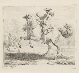 Steigerend paard met ruiter door Dirk Maas