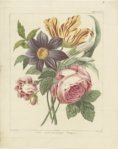 Boeket bloemen met pioenroos en tulp door Dirk Sluyter