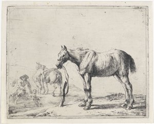 Aan een paal gebonden paard naar links door Dirk Stoop