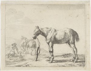 Aan een paal gebonden paard naar links door Dirk Stoop
