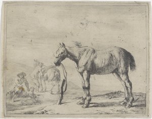 Aan een paal gebonden paard naar links door Dirk Stoop