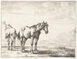 Twee paarden in een landschap Paarden door Dirk Stoop