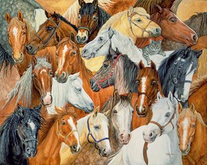 Dees paardenkleed door Ditz