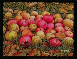 Durnitzhofer Appels, 1993 door Ditz