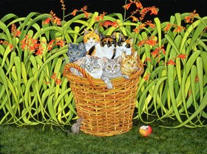 De Montbretia-muis