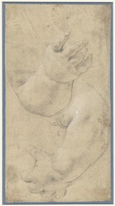 Studie van twee kinderarmpjes door Domenichino