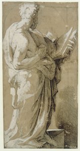  door Domenico Beccafumi