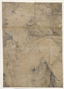 Opkijkende jongeman (half figuur), fragment van een karton door Domenico Beccafumi