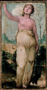 Vrouwelijk figuur