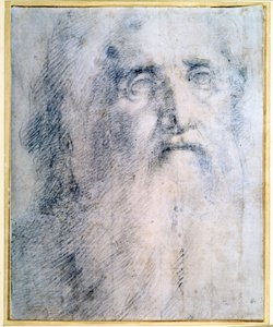 Studie van het hoofd van een oude man met een baard, c1535