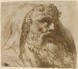 Hoofd van een Man door Domenico Campagnola