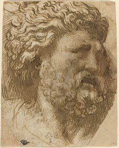 Hoofd van een man door Domenico Campagnola