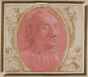 Hoofd van een oude man door Domenico Ghirlandaio