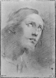  door Domenico Maria Canuti