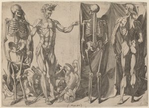 Skeletten en ontvelde lichamen