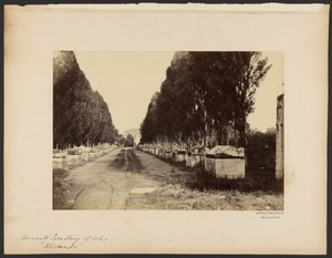 [Oude begraafplaats van Arles, "Alyscamps"]. door Dominique Roman