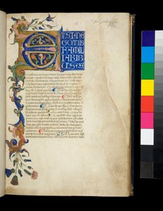 Ms 373. Pseudo-Cicero, Rhetorica ad Herennium, en andere werken, f.1r. Verlichte initiaal [E] en gedeeltelijke rand met acanthusblad en bloemversiering, de eerste regel van de tekst in witte hoofdletters op blauwe achtergrond