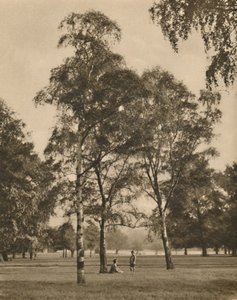 Het kantwerk van de bladeren: Een zomerochtend in Hyde Park, ca. 1935