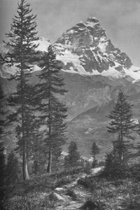 De Matterhorn vanaf de Italiaanse kant, Bos van Brueil door Donald McLeish