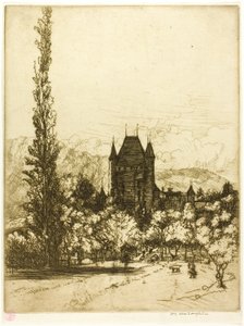 Een kasteel in Thun, Zwitserland