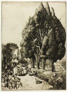 Cipressenbos door Donald Shaw MacLaughlan