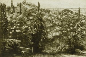Avondschaduwen