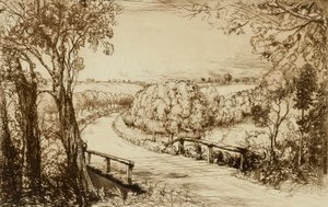 Tennessee Snoek door Donald Shaw MacLaughlan