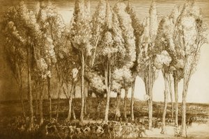 De dans van de lente door Donald Shaw MacLaughlan