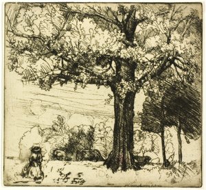 De Grote Eik door Donald Shaw MacLaughlan