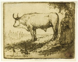 De witte os door Donald Shaw MacLaughlan