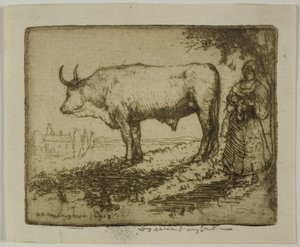 De witte os door Donald Shaw MacLaughlan