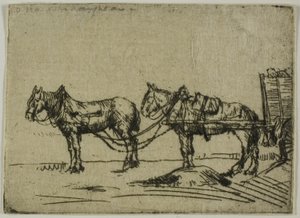 Twee paarden door Donald Shaw MacLaughlan