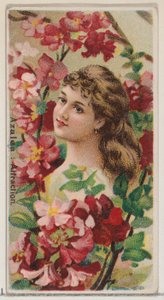 Azalea: Aantrekking, uit de serie Bloemschoonheden en Taal van Bloemen N75 voor Duke, 1892 door Donaldson Brothers