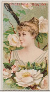 Bridal Roos: Gelukkige Liefde, uit de serie Floral Beauties and Language of Flowers