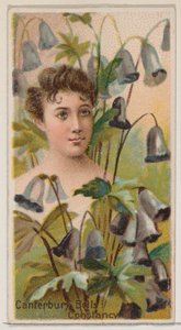 Canterbury Bells: Standvastigheid, uit de serie Floral Beauties and Language of Flowers N75