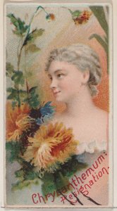 Chrysant: Berusting, uit de serie Floral Beauties and Language of Flowers N75, 1892