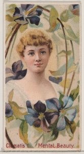 Clematis: Mentale schoonheid, uit de serie Floral Beauties and Language of Flowers N75, 1892