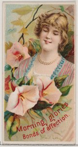 Morning Glories: Banden van genegenheid, uit de serie Bloemenschoonheden en de taal van bloemen door Donaldson Brothers