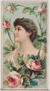 Moss Roos: Bekentenis van Liefde, uit de serie Floral Beauties and Language of Flowers door Donaldson Brothers