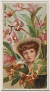 Orchidee: Vertrouwen, uit de serie Floral Beauties and Language of Flowers N75 voor Duke merk door Donaldson Brothers