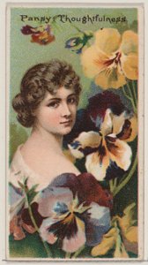 Viooltje: Bedachtzaamheid, uit de serie Floral Beauties and Language of Flowers N75 voor D..., 1892