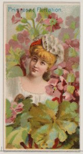 Primula: Flirtatie, uit de serie Floral Beauties and Language of Flowers N75 voor Du..., 1892