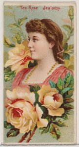 Theeroos: Jaloezie, uit de serie Bloemschoonheden en Taal van Bloemen N75 voor Duke, 1892 door Donaldson Brothers