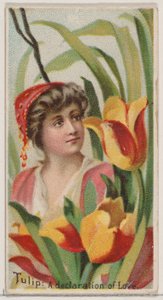 Tulp: Een Verklaring van Liefde, uit de serie Bloemenschoonheden en Taal van Bloemen N75 door Donaldson Brothers