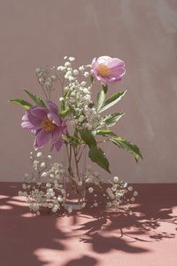 Roze pioenrozen in zacht licht door Donatella Basso