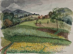 Boer, ca. 1980 door Donatella Merlo