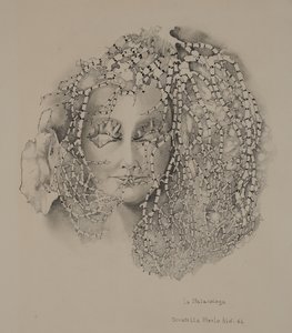 De malacologie door Donatella Merlo