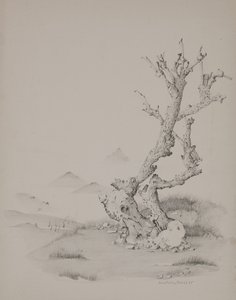 De koffer