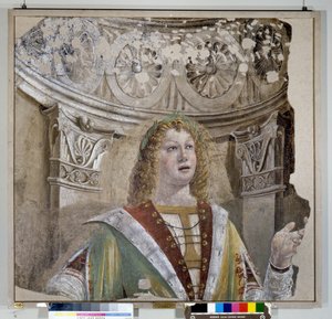 De zanger